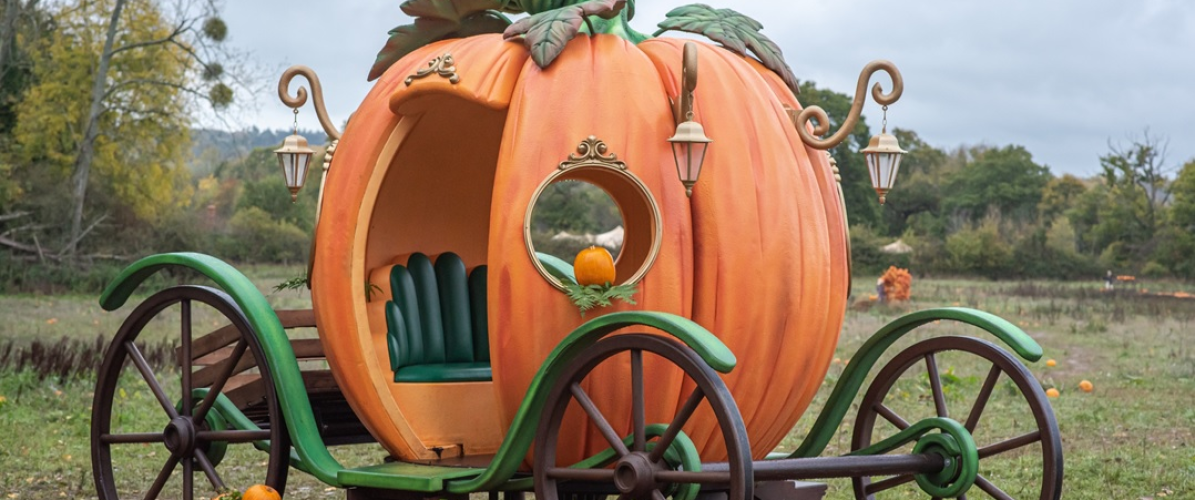 WASING PICK YOUR OWN PUMPKINS & WOODLAND TRAIL  2026