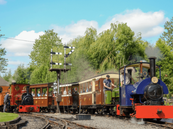 Spectacle of Steam (Charitable Fundraising Event)