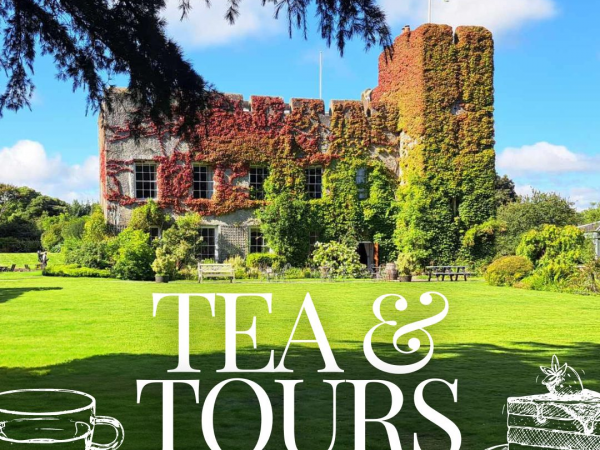 Tea and Tours at the castle -10th/ 17th July 2024