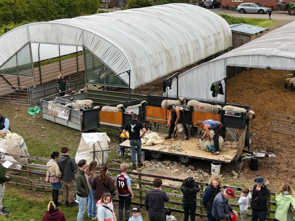 Open Farm Sunday