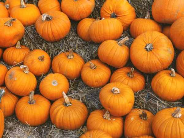 Pumpkins