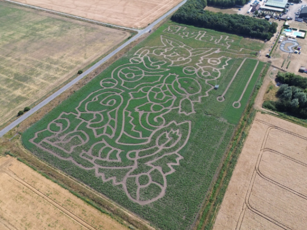 Summer Maize Maze & Funyard