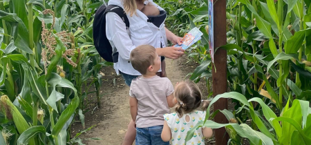 Maize Maze Frome