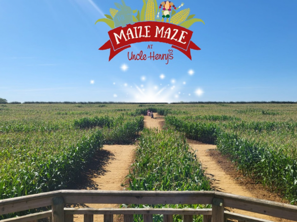 Behind The Garden Wall- inc MAIZE MAZE