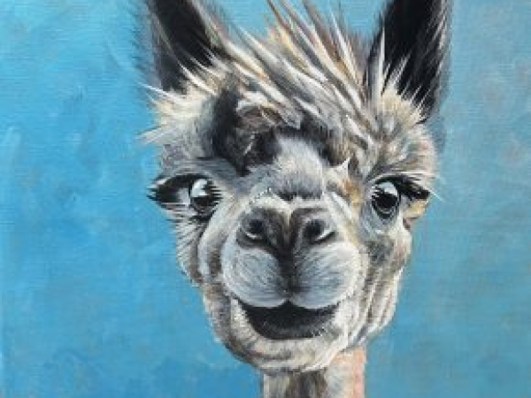 Greeting Cards, Prints and Gifts
