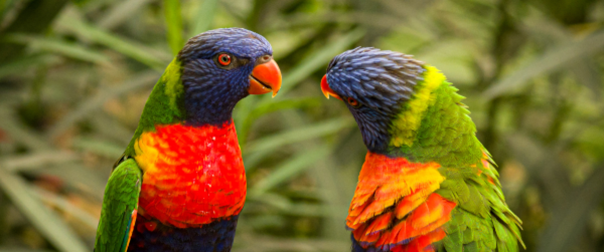 Photography Workshop