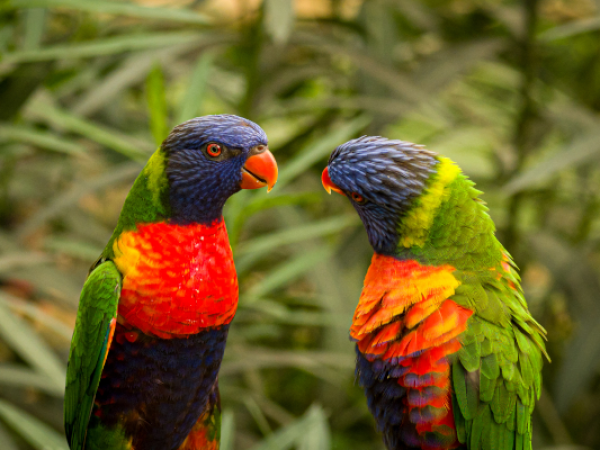 Photography Workshop