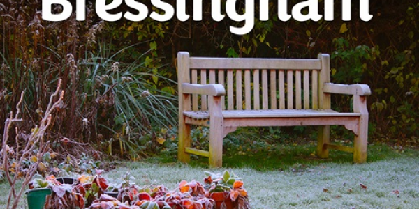 Bressingham Winter Garden Tour