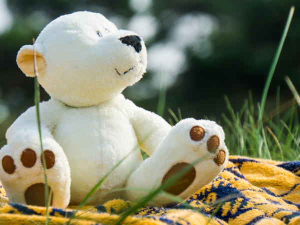 Teddy bear picnic