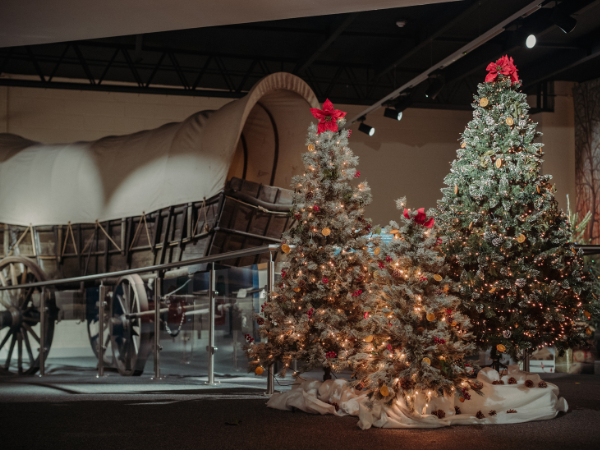 Christmas at the Ulster American Folk Park