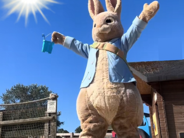 Party with Peter - 10 years of fun!