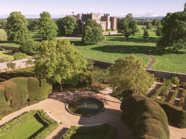 Summer Solstice Celebration