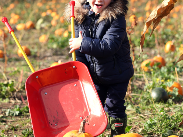 Week of Wickedness - Halloween Maze & Funyard
