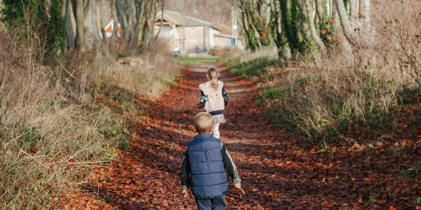 Fall Fun on the Farm - 4th - 29th November