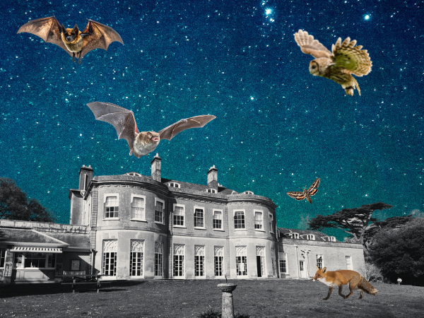 Black and white picture of Upton House with two bats, an owl, a fox and a moth