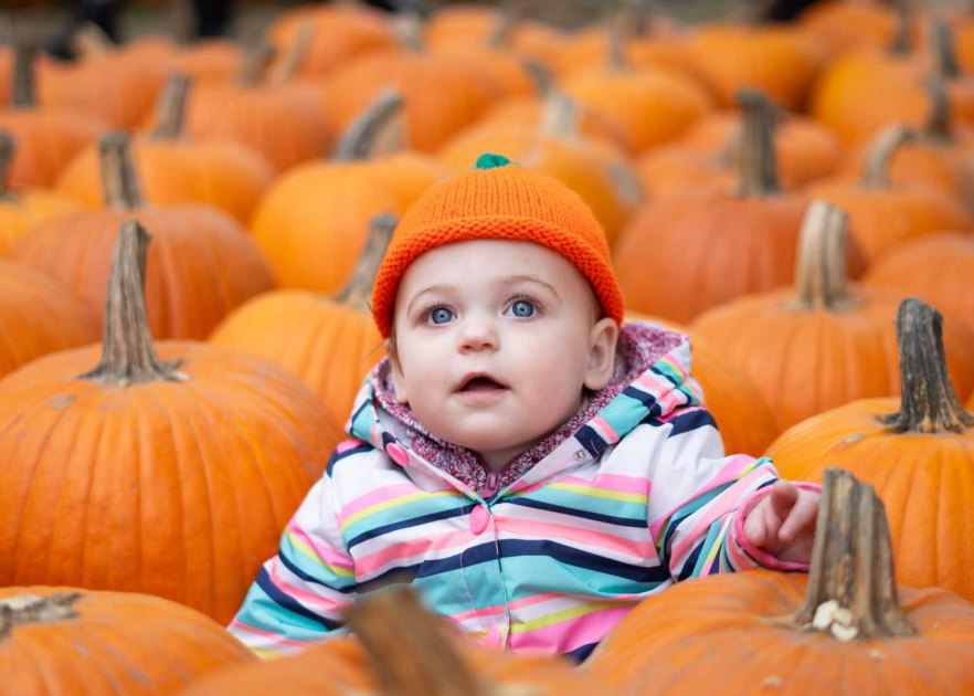 Buy 2024 PumpkinFest Tickets online Saunders Farm Inc.