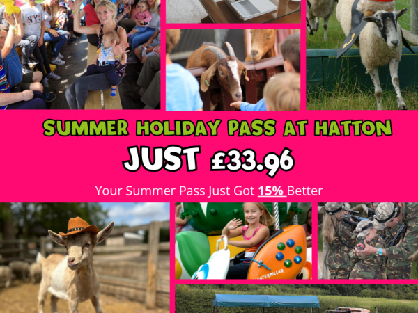 UNLIMITED Summer Holiday Season Pass - (Valid for dates between July 18th - Sept 1st 2026)