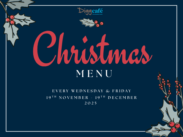 Festive Christmas Lunch  - 2 or 3 Courses