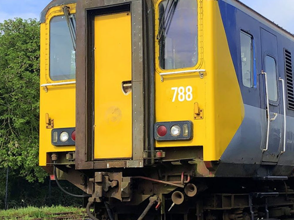Summer Trains