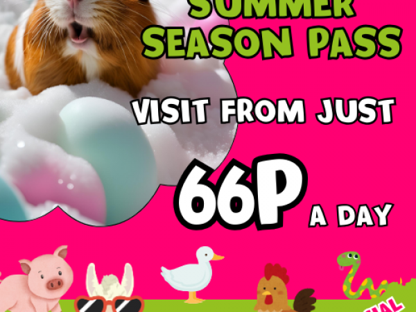 (Valid for dates between July 19th - Sept 1st 2025) -UNLIMITED Summer Holiday Season Pass