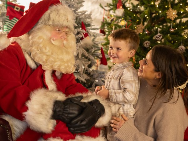 Magic of Christmas