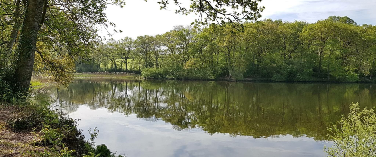 Chard Reservoir Events