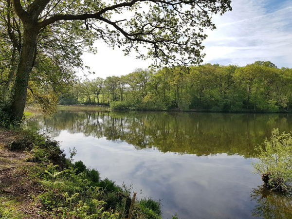 Chard Reservoir Events