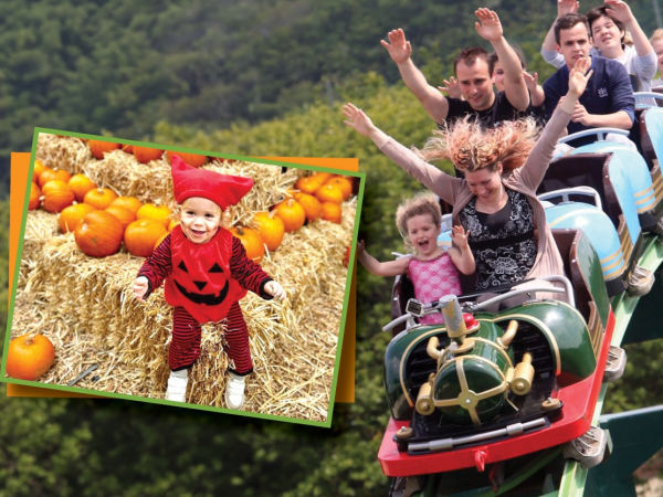 ADMISSION -  Summer/ Autumn 2025