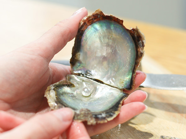 Pick-A-Pearl Experience • Akoya