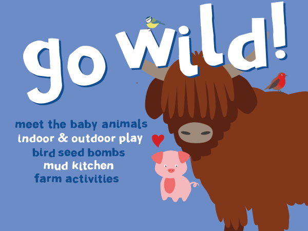 Go Wild! Half Term Fun