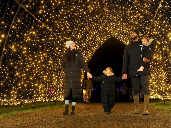 Farmer Ed's Enchanted Light Trail