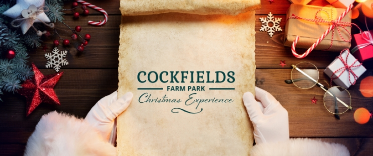Cockfields Christmas Experience 2025