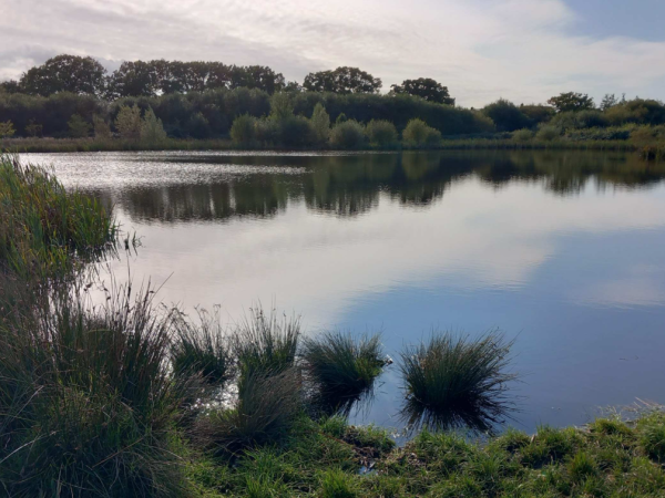 Wilstock & Stockmoor Country Park Events