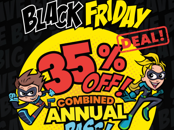 Black Friday 2025 - Combined Annual Passes