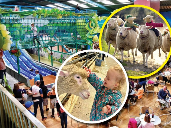 ADMISSION -  Autumn, Winter and Feb Half Term