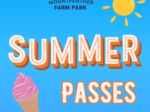 Summer Passes 2026