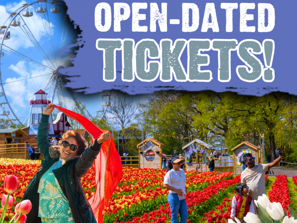 Open Dated - Tulip Fest Sussex 2026