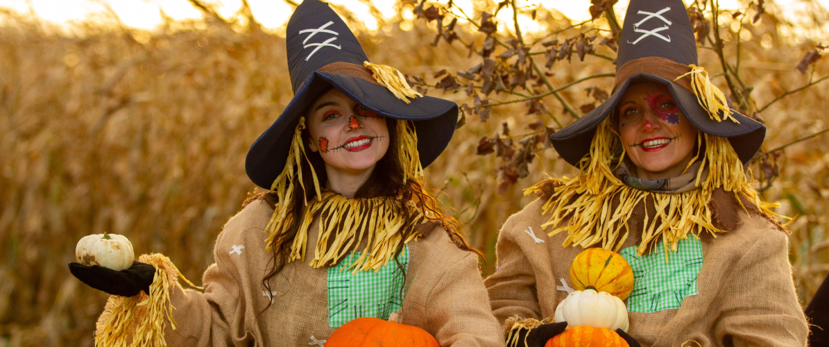 Pumpkin Farm Festival: Daytime