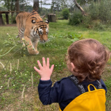 safari park manchester