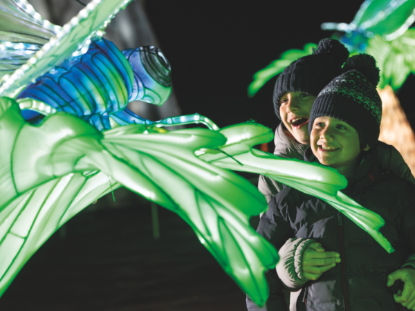 The Festival of Light - 8 Nov - 11 Jan*