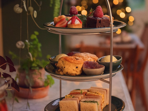 Festive Afternoon Tea in The Vinery