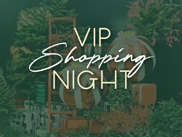 Christmas VIP Shopping