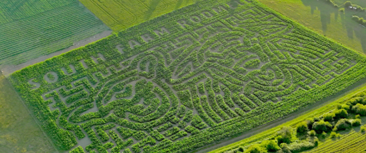 Maize Maze Tickets