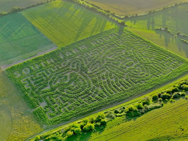 Maize Maze Tickets