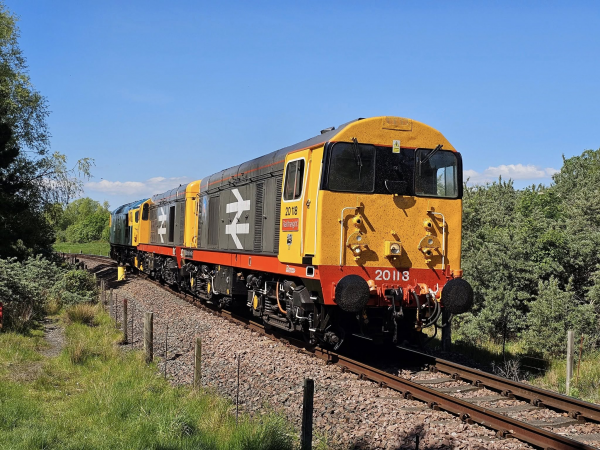 Diesel Gala