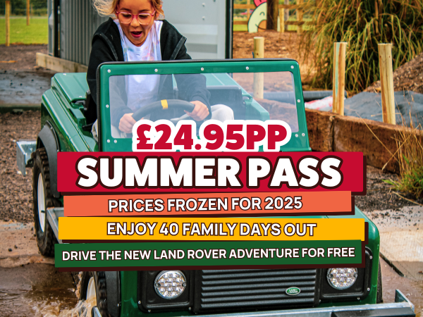 2025 Summer Pass