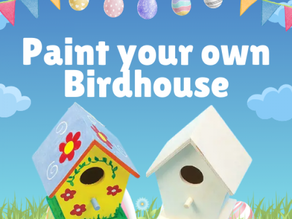 Paint your own Bird house with examples