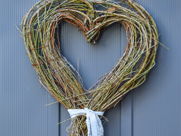 Willow Star or Heart Workshop