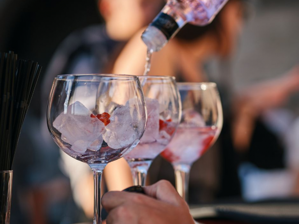 Gin Tasting Experience With The London Essence Company