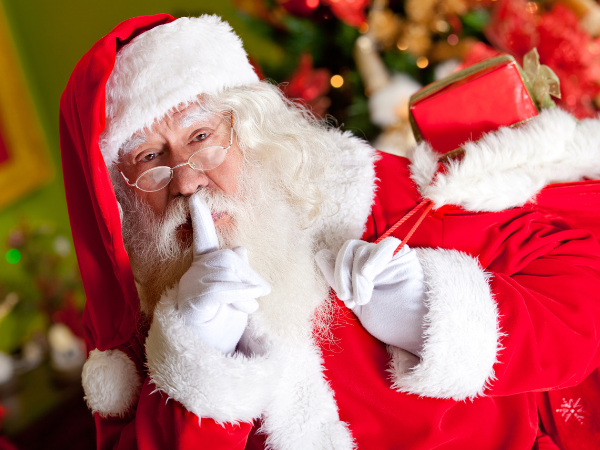 Santa's Grotto Experiences